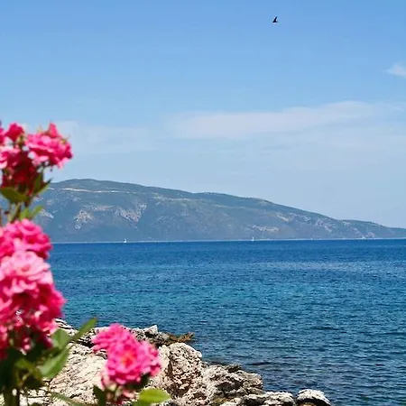 Daphni * أيّا إفيميا