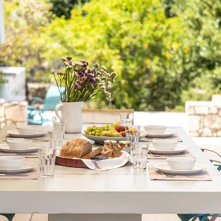 Daphni Villa Agia Efimia